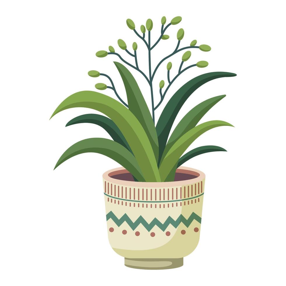 Plant with small green buds in a pot vector