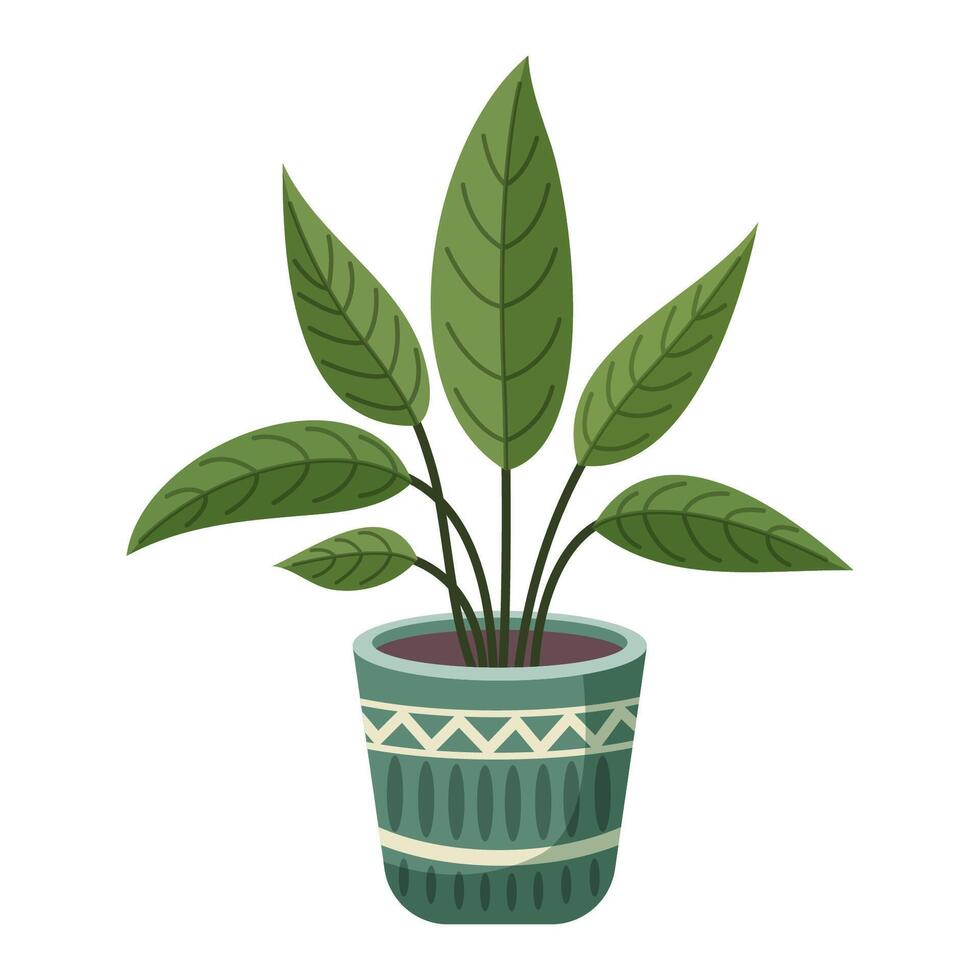 Leafy plant in a green pot vector