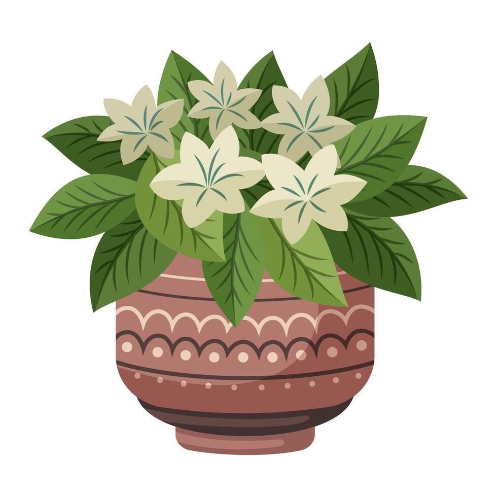 Plant with white flowers in a pot vector