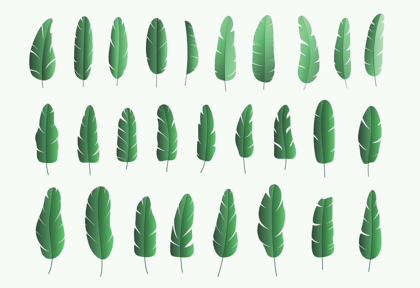 big set of green banana tree leaves vector