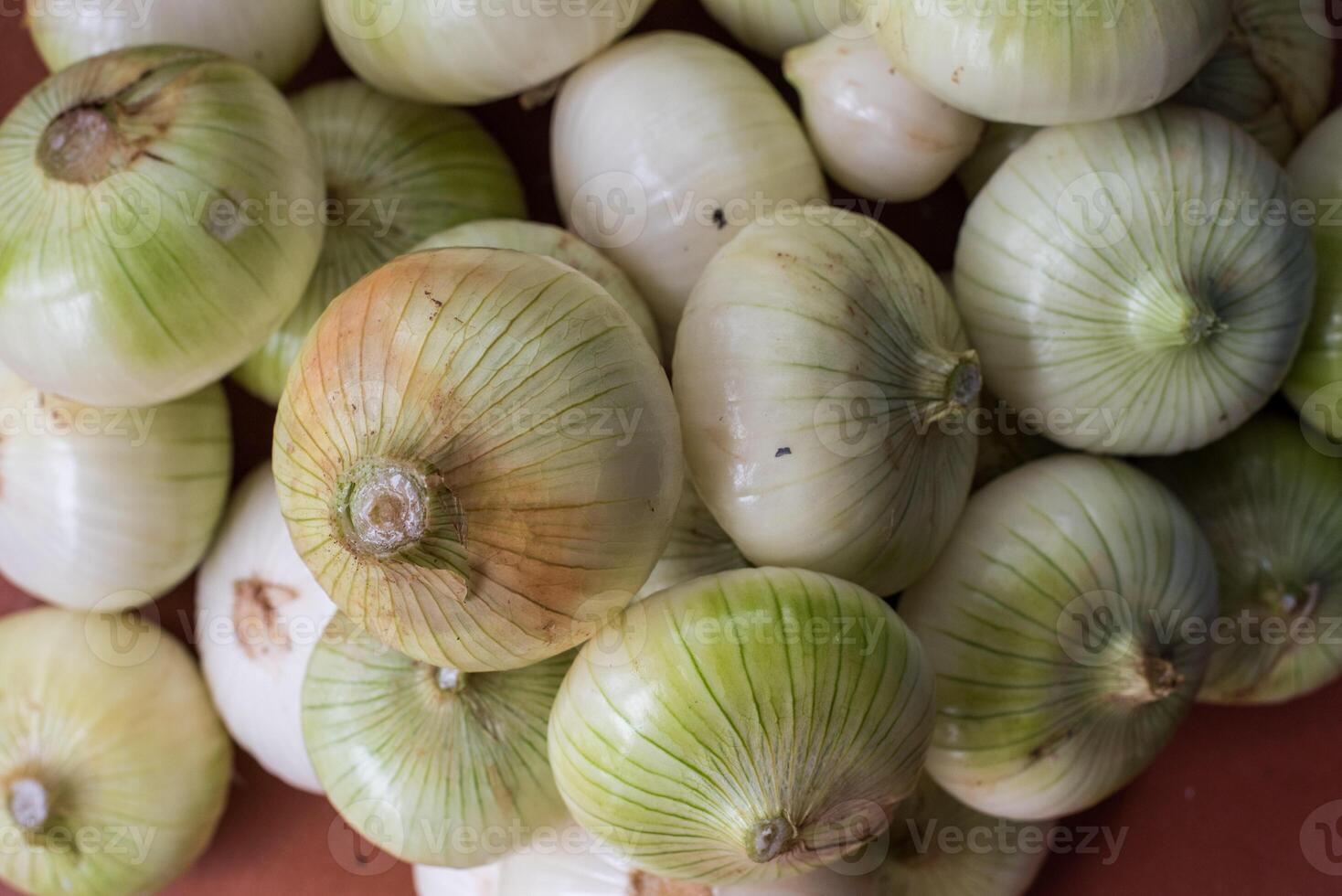 Heap of peeled onions photo