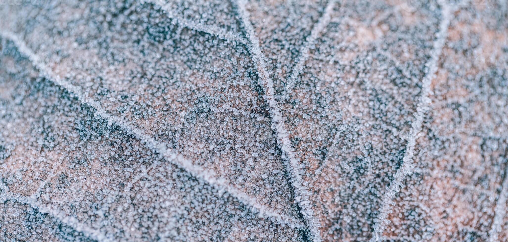 Early spring permafrost on leaf macro. Tranquil nature pattern morning hoar frost abstract seasonal macro. Peaceful winter photo