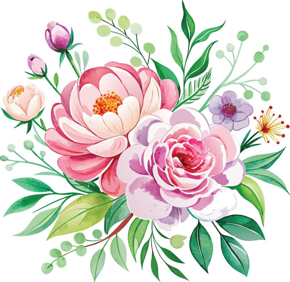 bautiful watercolor floral bouquet with peony and roses. Vector illustration.