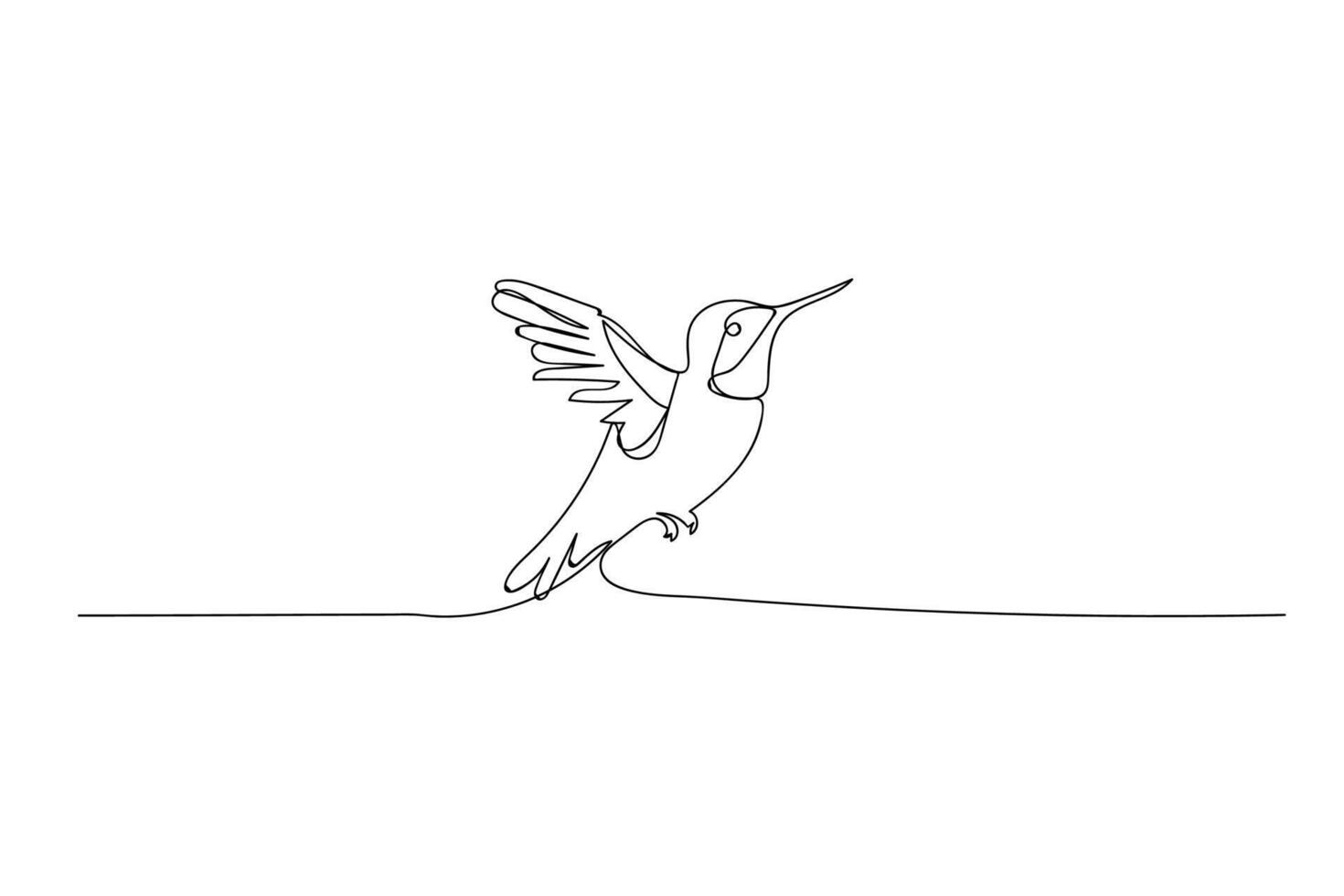 Hummingbird  bird, black line drawing, one line outline on white background vector