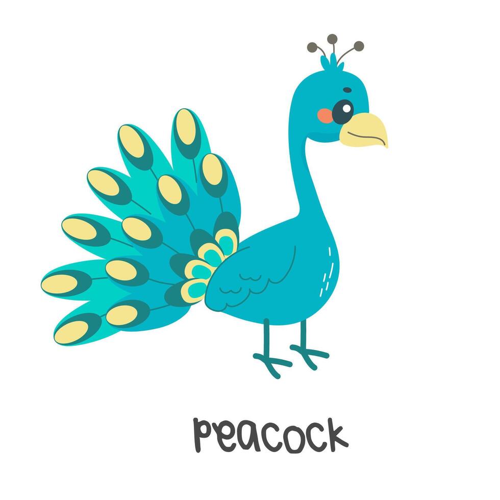 Children's illustration, cute peacock, with inscription. vector illustration for teaching children, t-shirt