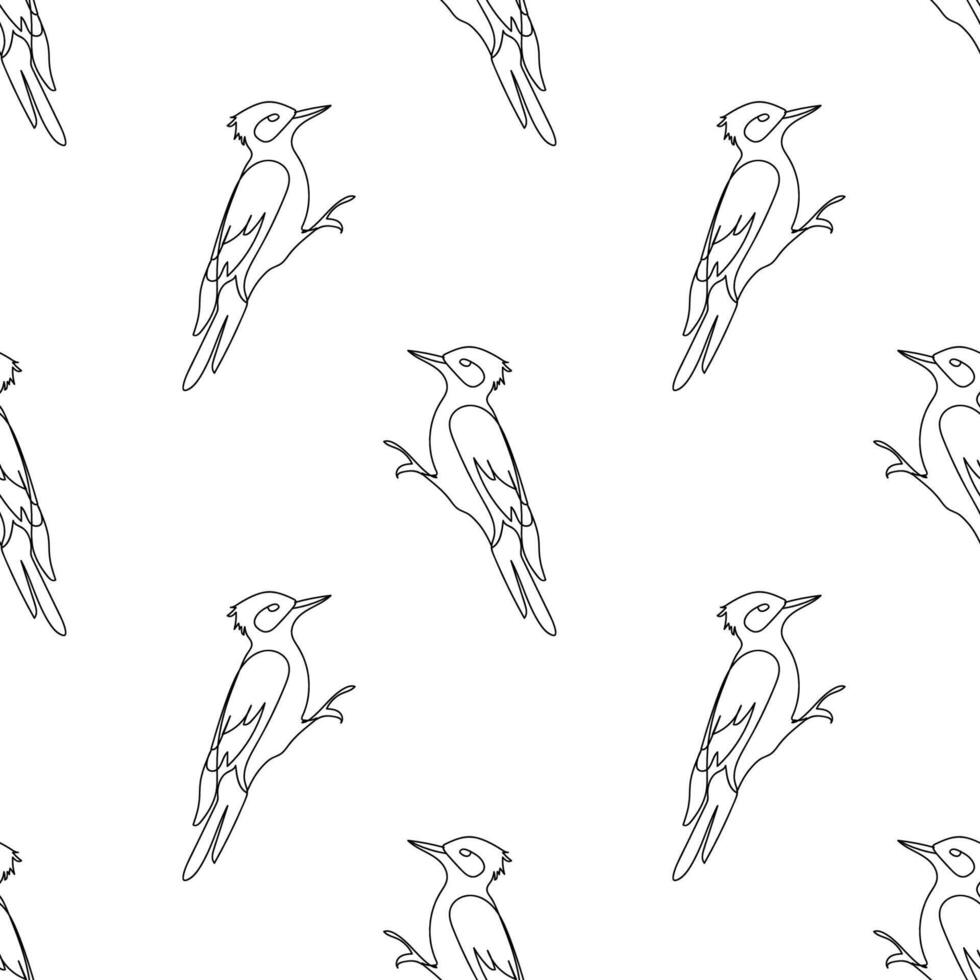 Seamless pattern, line woodpecker, white background, line drawing, for fabric, wrapping paper vector