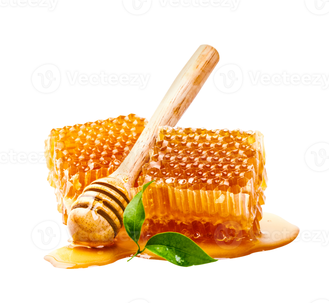 Honeycomb with honey dipper and leaf isolated, Organic product from the nature for healthy with traditional style, PNG transparency