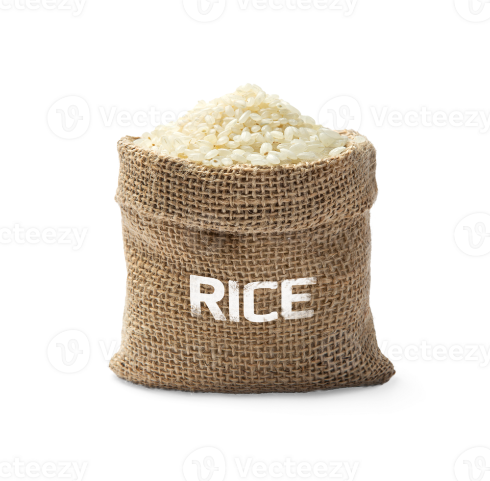 Raw rice in sack isolated, representing food grains and ingredients in agriculture, PNG transparency with shadow