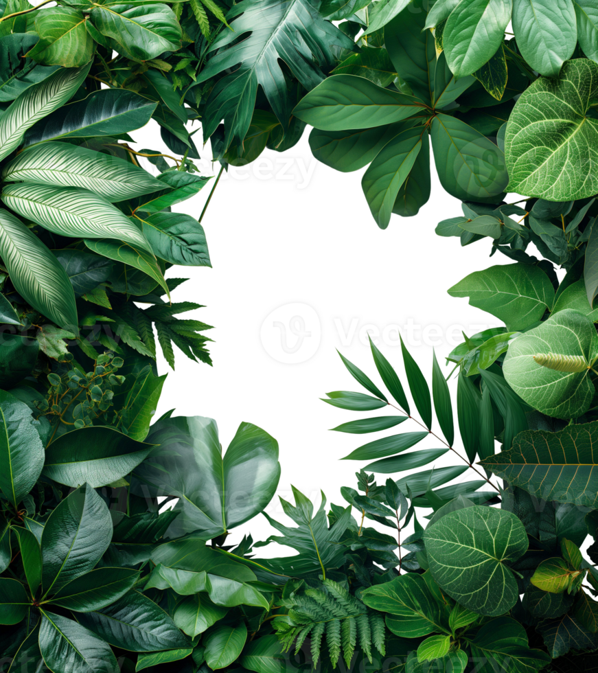 AI generated Tropical green leaves frame, nature's fresh border by leaf, AI generated, PNG transparent