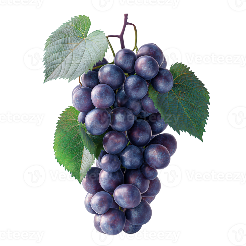 AI generated Grapes bunch isolated on white background, Healthy organic juicy fruit and fresh natural ingredients, AI generated, PNG transparent with