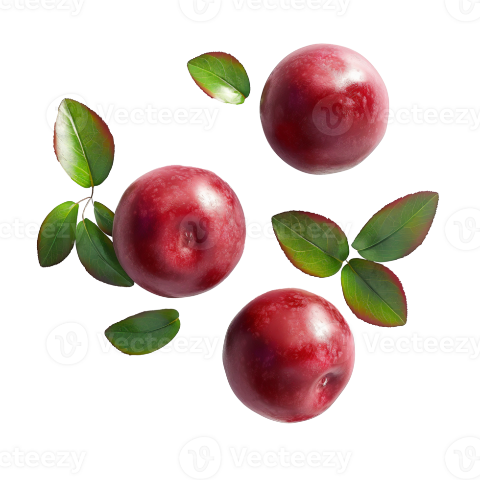 AI generated Cranberries pile with Cranberry leaves on the floor, Healthy organic berry natural ingredients concept, AI generated, PNG transparency