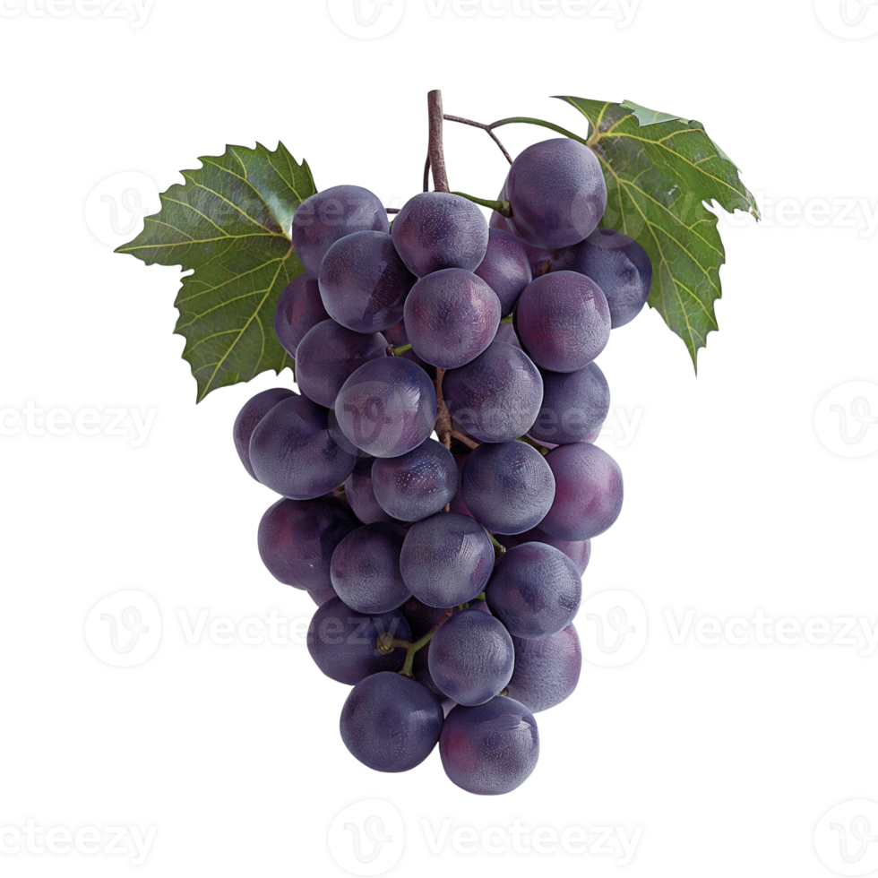 ai generado jugoso maduro uvas aislado en un blanco fondo, sano orgánico jugoso Fruta y Fresco natural ingredientes, ai generado, png transparente