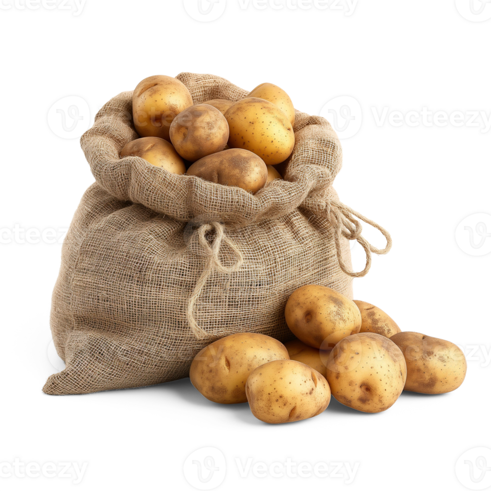 AI generated Fresh organic potatoes in bag sacks isolated on white background, healthy and organic food, AI generated, PNG transparent with shadow