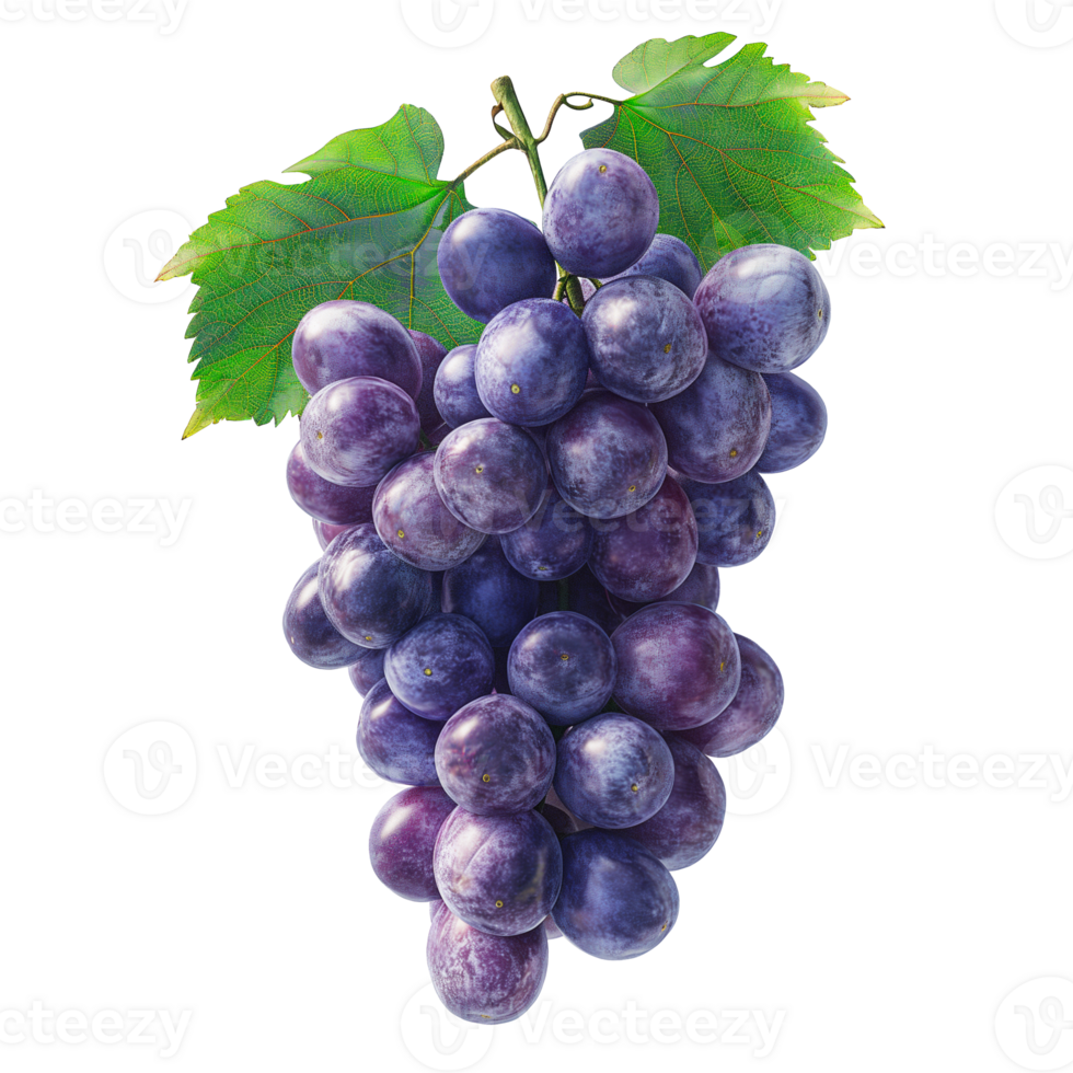 AI generated Grapes bunch isolated on white background, Healthy organic juicy fruit and fresh natural ingredients, AI generated, PNG transparent