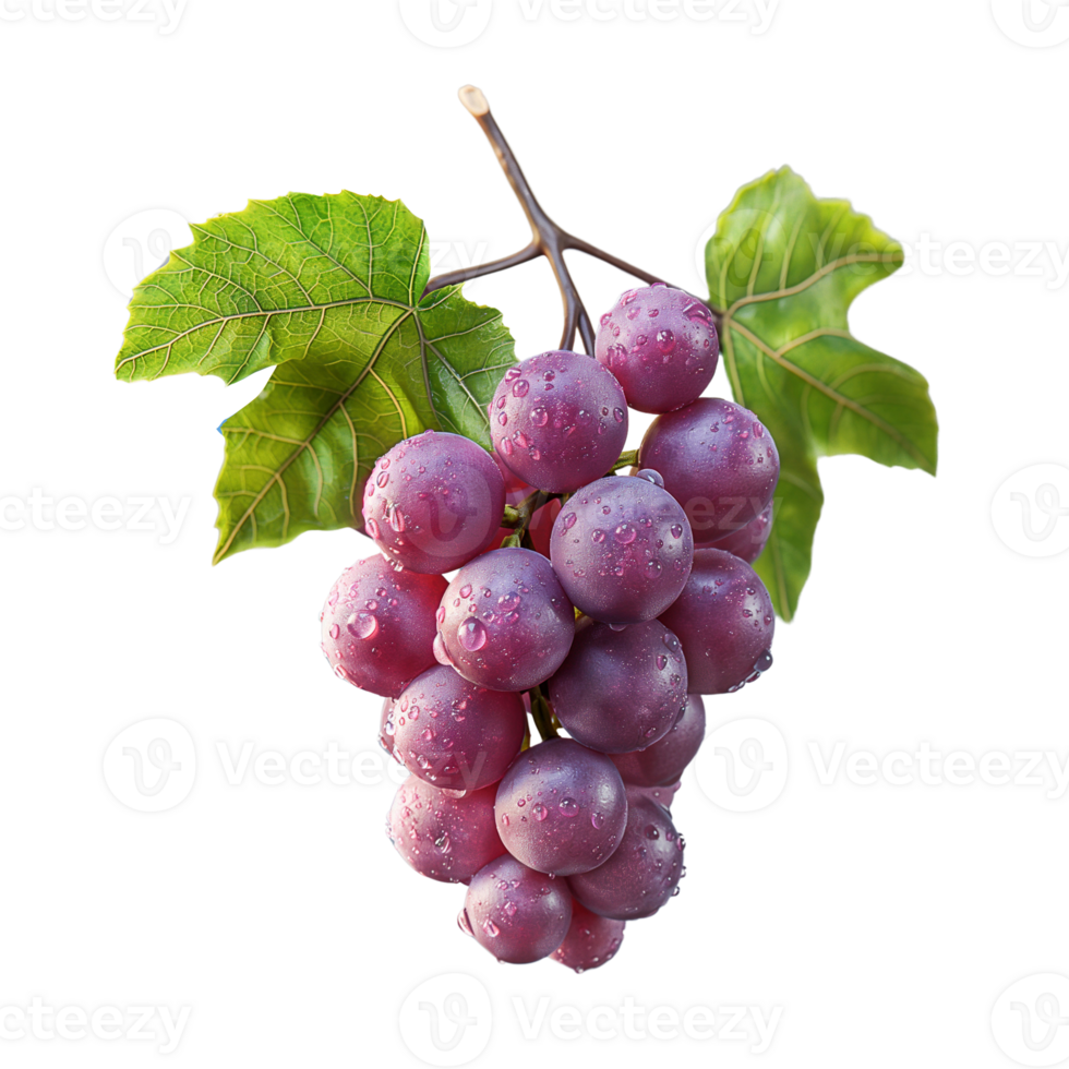 AI generated Grapes bunch isolated on white background, Healthy organic juicy fruit and fresh natural ingredients, AI generated, PNG transparent