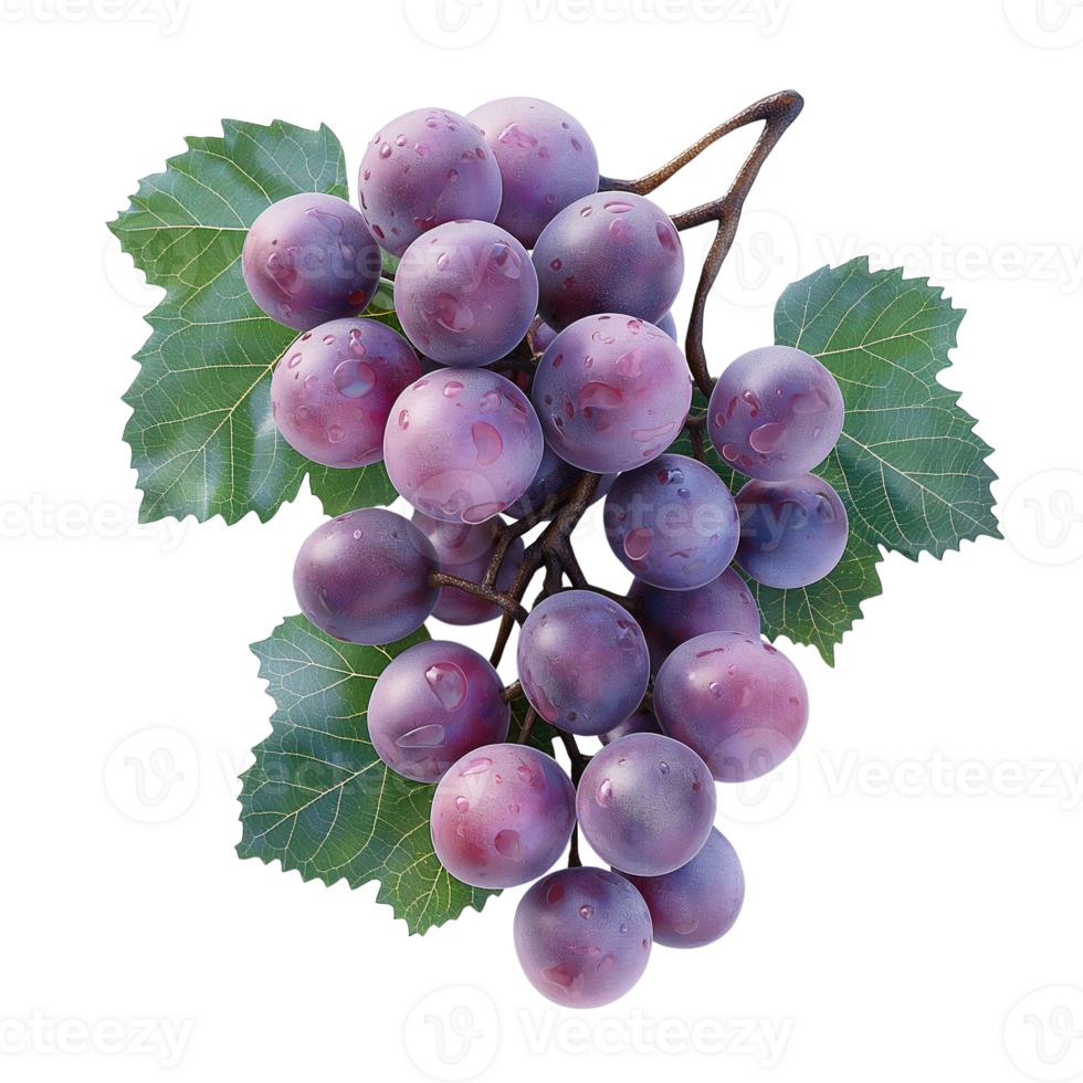 ai generado jugoso maduro uvas aislado en un blanco fondo, sano orgánico jugoso Fruta y Fresco natural ingredientes, ai generado, png transparente