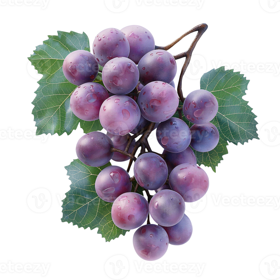 AI generated Juicy ripe grapes isolated on a white background, Healthy organic juicy fruit and fresh natural ingredients, AI generated, PNG transparent