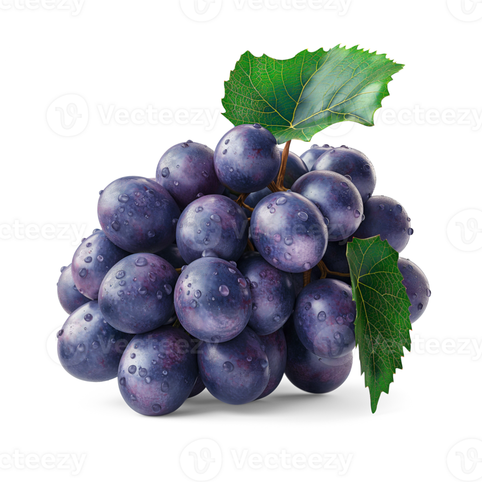 AI generated Bunch of ripe grapes isolated on white background, Healthy organic juicy fruit and fresh natural ingredients, AI generated, PNG transparent with shadow