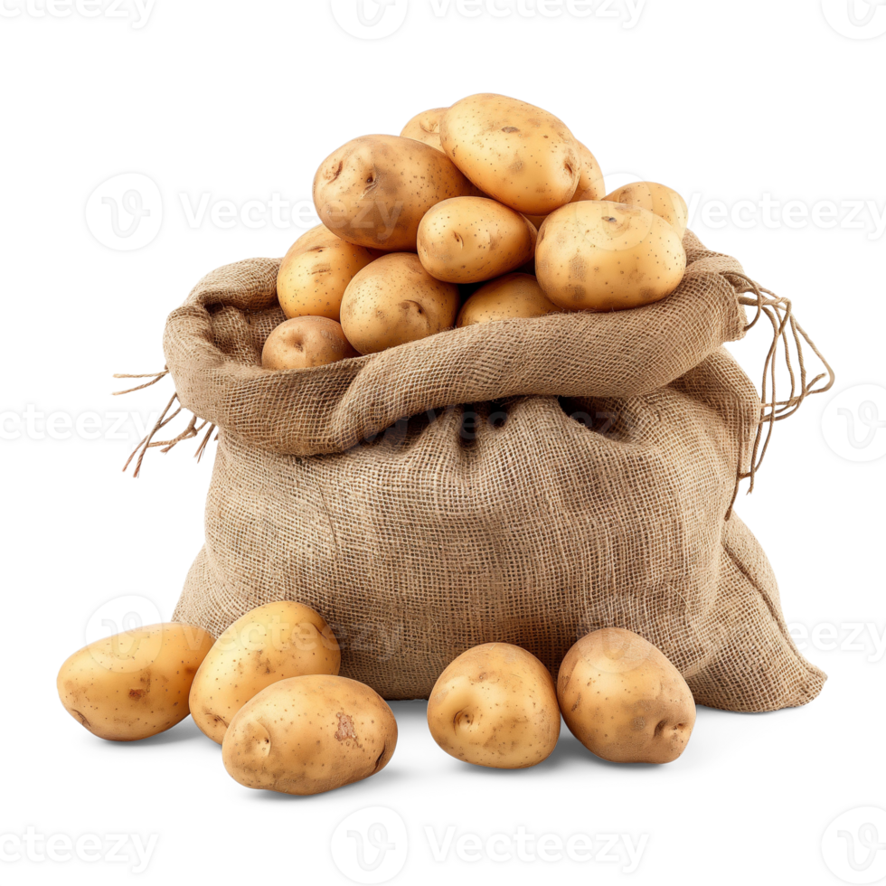 AI generated Fresh organic potatoes in bag sacks isolated on white background, healthy and organic food, AI generated, PNG transparent with shadow