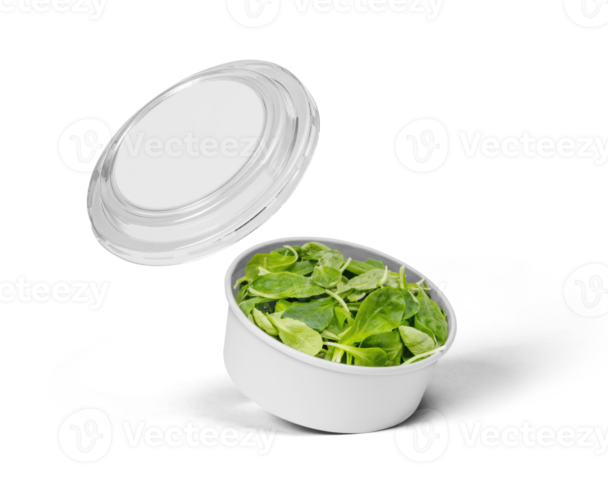 Takeaway food container round box mockup with vegetable png