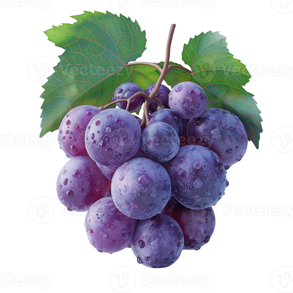 ai generado maduro uvas manojo aislado en blanco fondo, sano orgánico jugoso Fruta y Fresco natural ingredientes, ai generado, png transparente