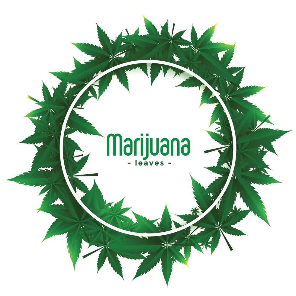 cannabis marijuana weed frames with leaves vector