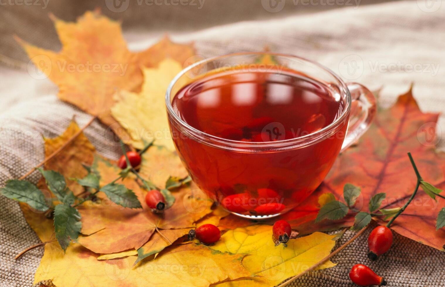 A cup of rose hip tea with fresh berries in a glass cup. Vintage background, selective focus photo