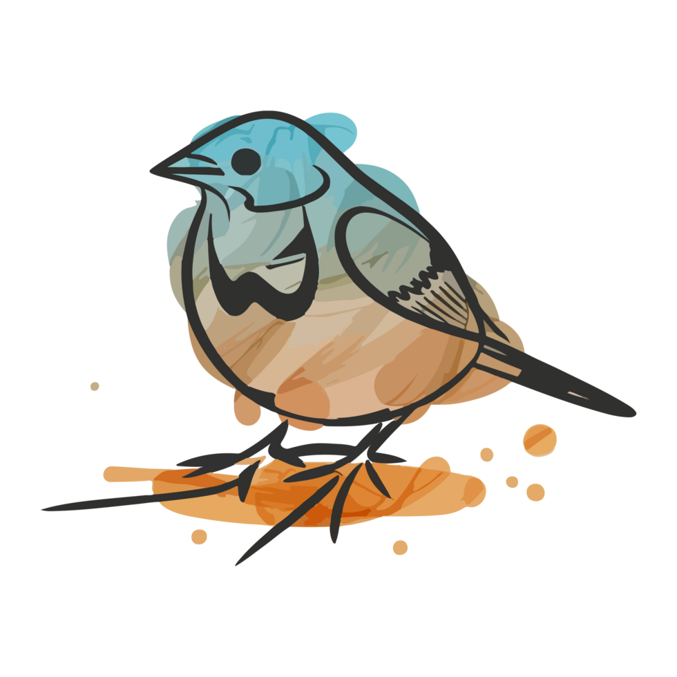 Watercolor line art bird of transparent png background.