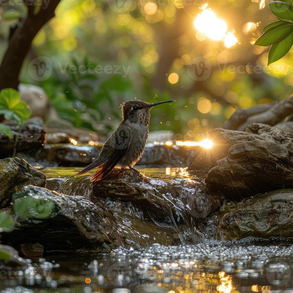 AI generated A Very beautiful hummingbird near the river photo