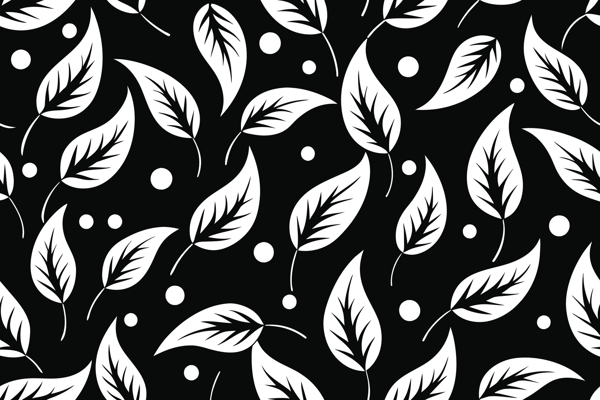 Seamless Black and White Vector Patterns 41446595 Vector Art at Vecteezy
