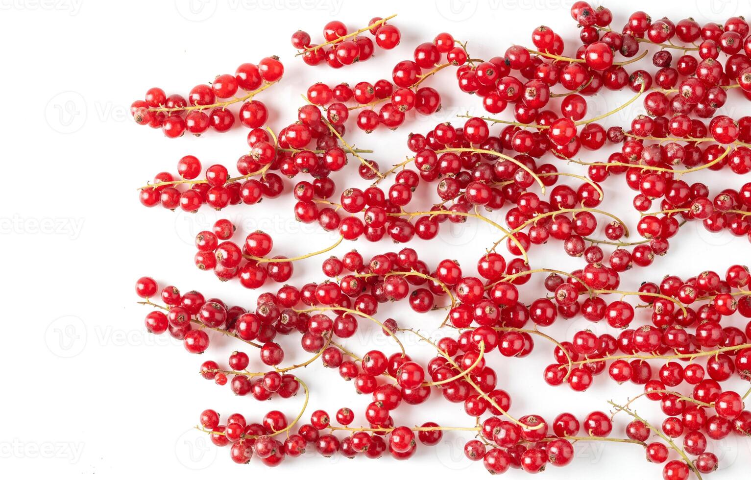 Redcurrant isolated on white. Fresh berry closeup, healthy diet concept. Ripe organic bilberry, creative composition. Juicy redcurrant background, top view. photo
