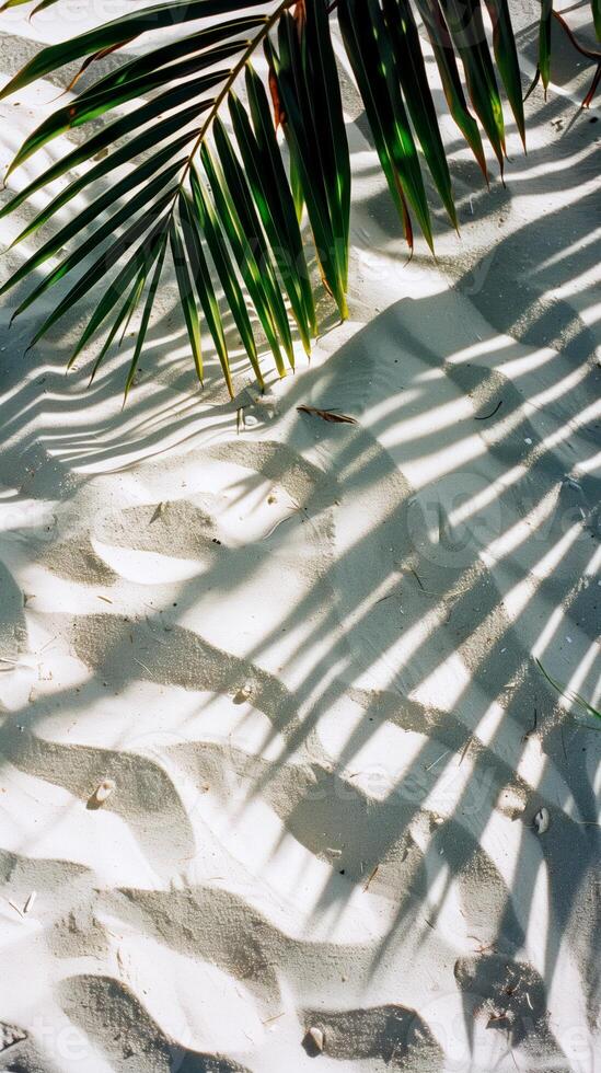 ai generado soleado tropical arena playa con palma arboles y oscuridad con vacío espacio para texto o producto presentación. caliente verano ventas concepto. foto