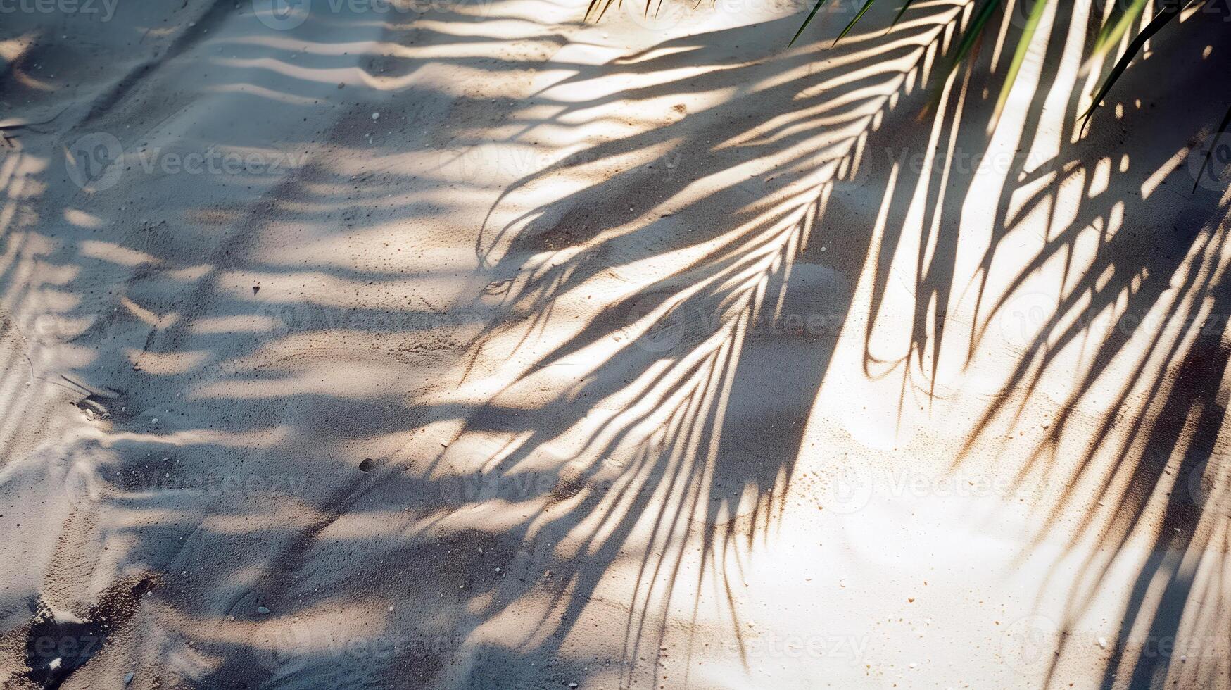 AI generated Sunny tropical sand beach with palm trees and shadows with empty space for text or product presentation. Hot summer sales concept. photo