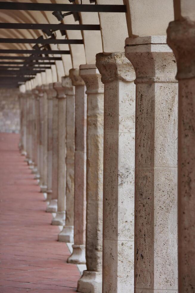 Renaissance Architectural Columns photo