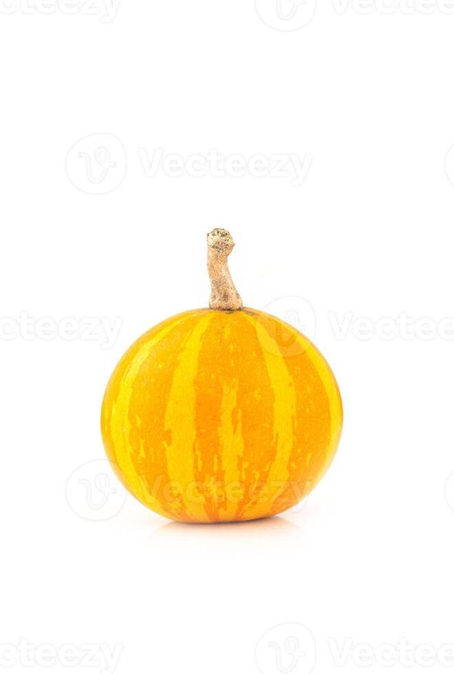 Decorative, small, striped yellow pumpkin isolation on white background photo