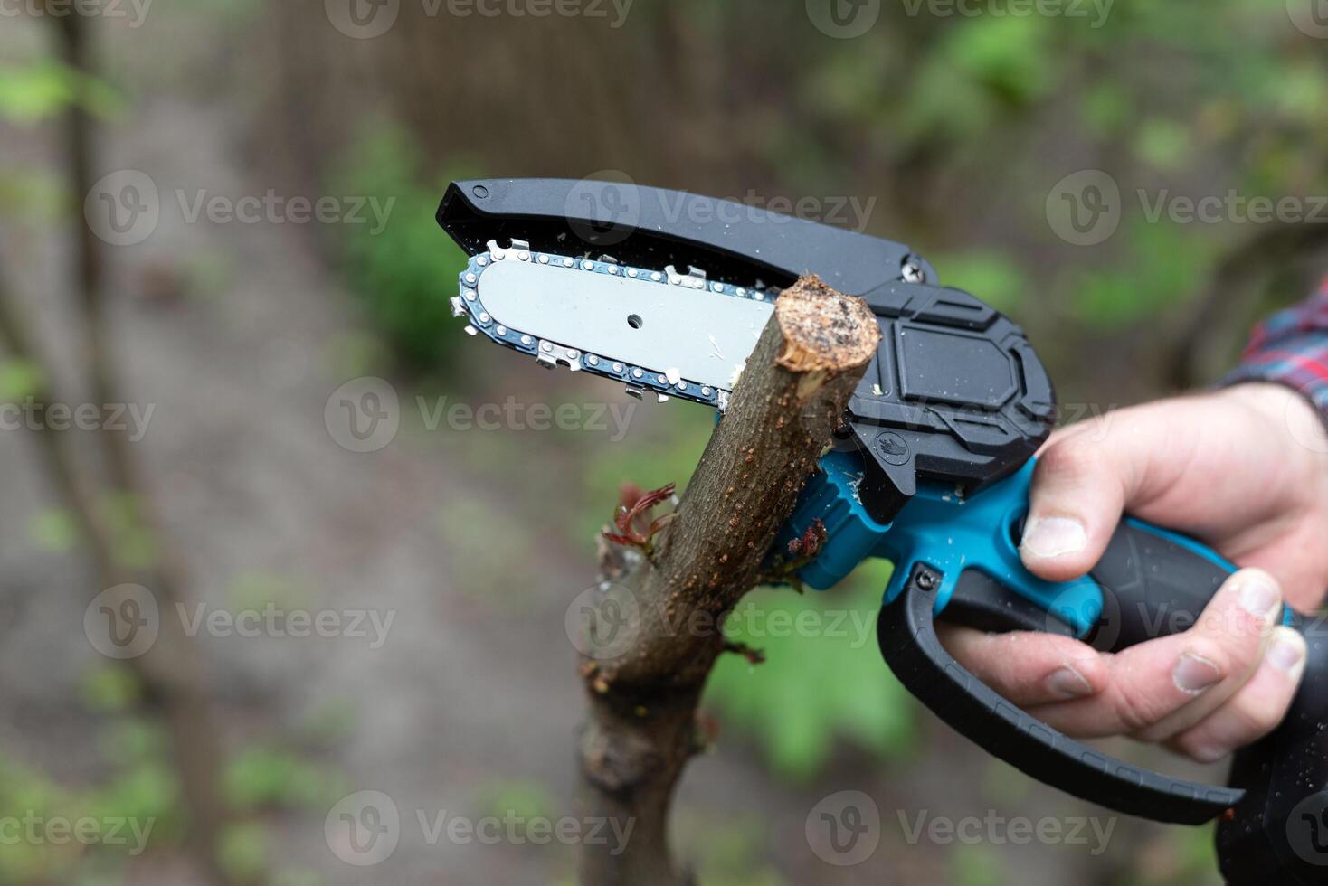 Hand holds light chain saw with battery to trim broken branch of an tree, in sunny day photo