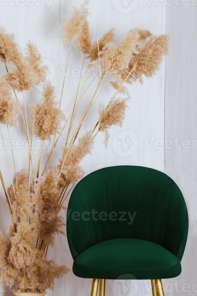 The decor of the room is a green bar stool and shaggy branches of reeds on a white wall background photo