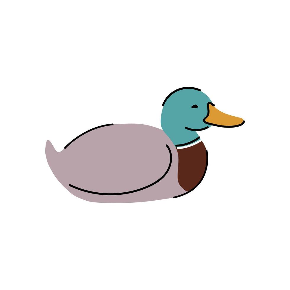 Simple cartoon style illustration of a wild duck. Isolated on white. vector