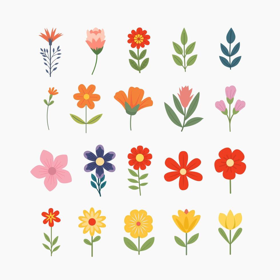 Simple illustration spring flower leaves and branches. Hand drawn botanical elements vector