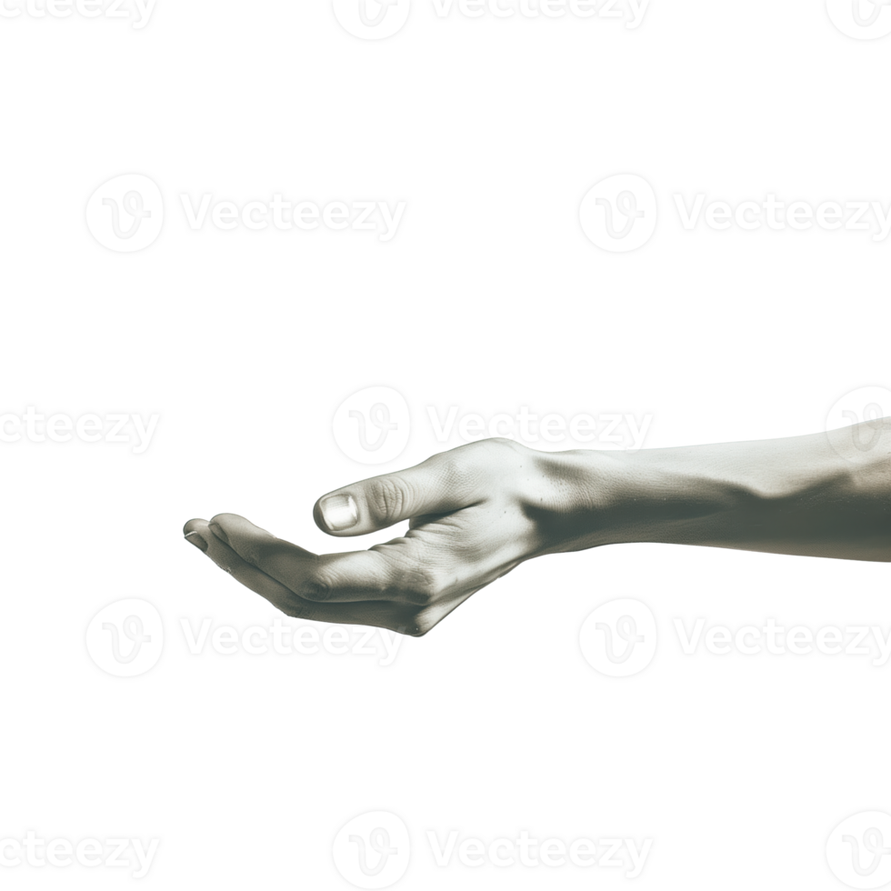 AI generated Man hand with palm up isolated png