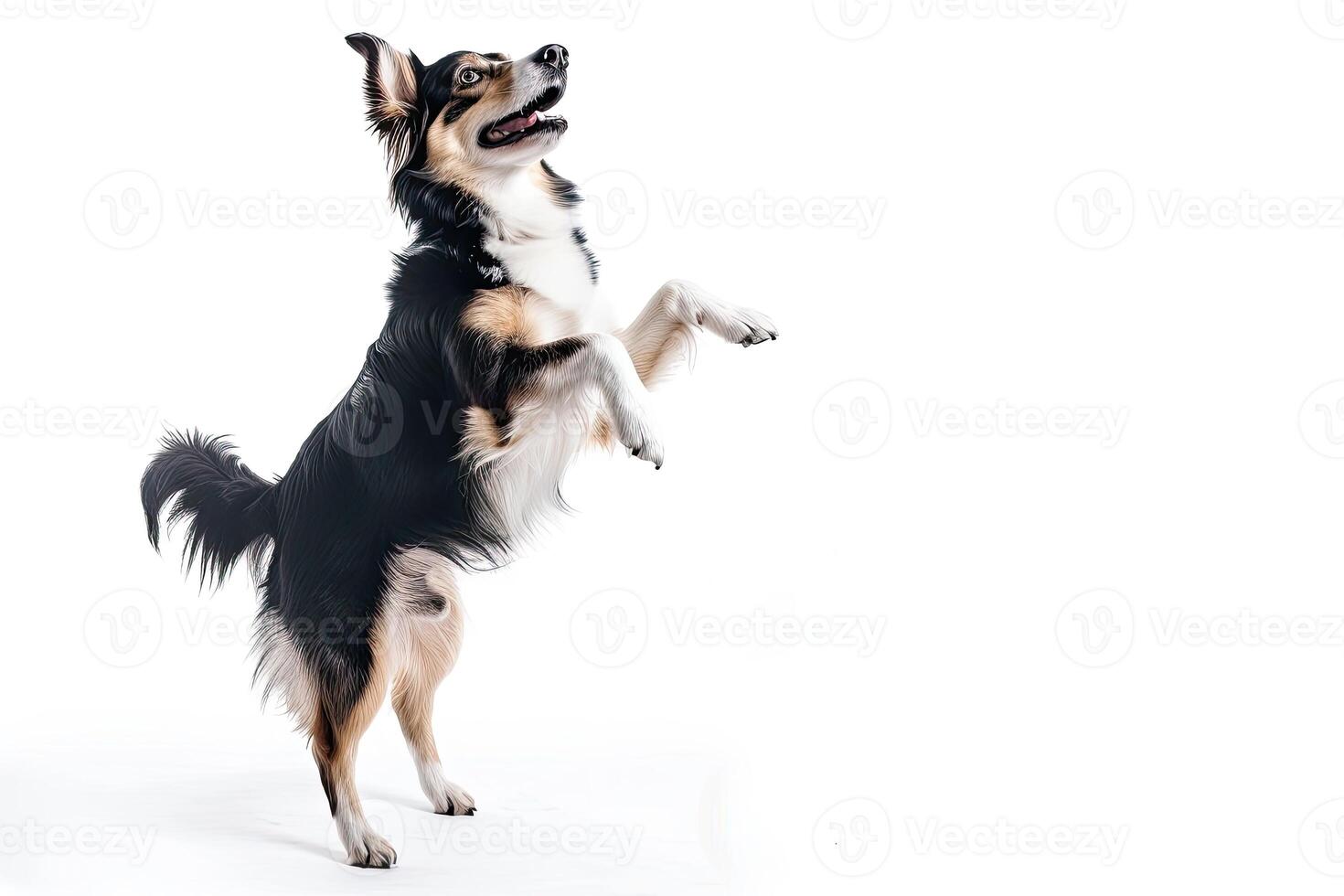 AI generated a playful dog standing on its hind legs on white background photo