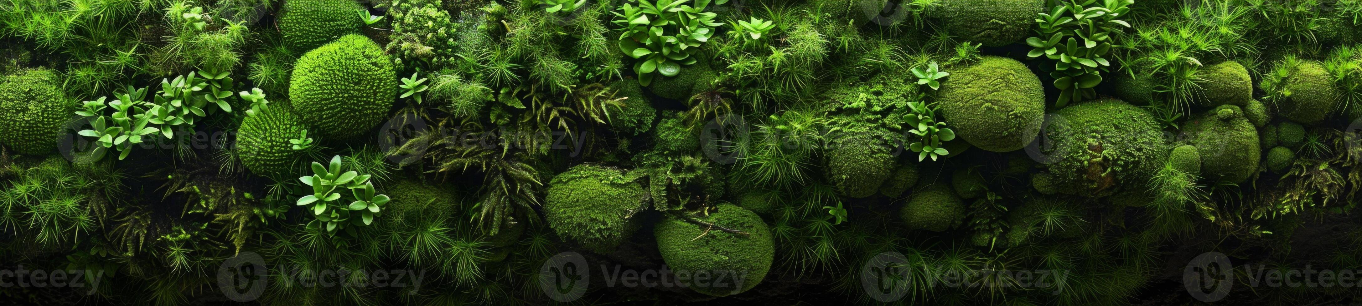 AI generated fluffy moss texture photo