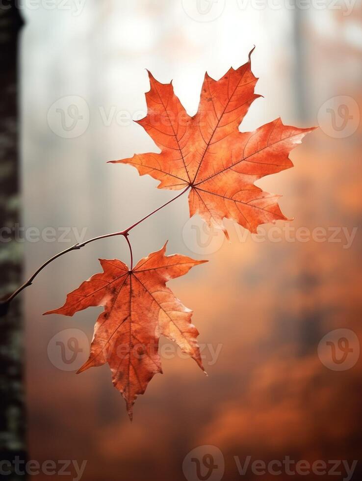 AI generated One vivid autumn colorful maple leaf in red and yellow colors. leaf color dry park close illustration forest autumn, natural season, outdoor garden leaf color dry park close photo