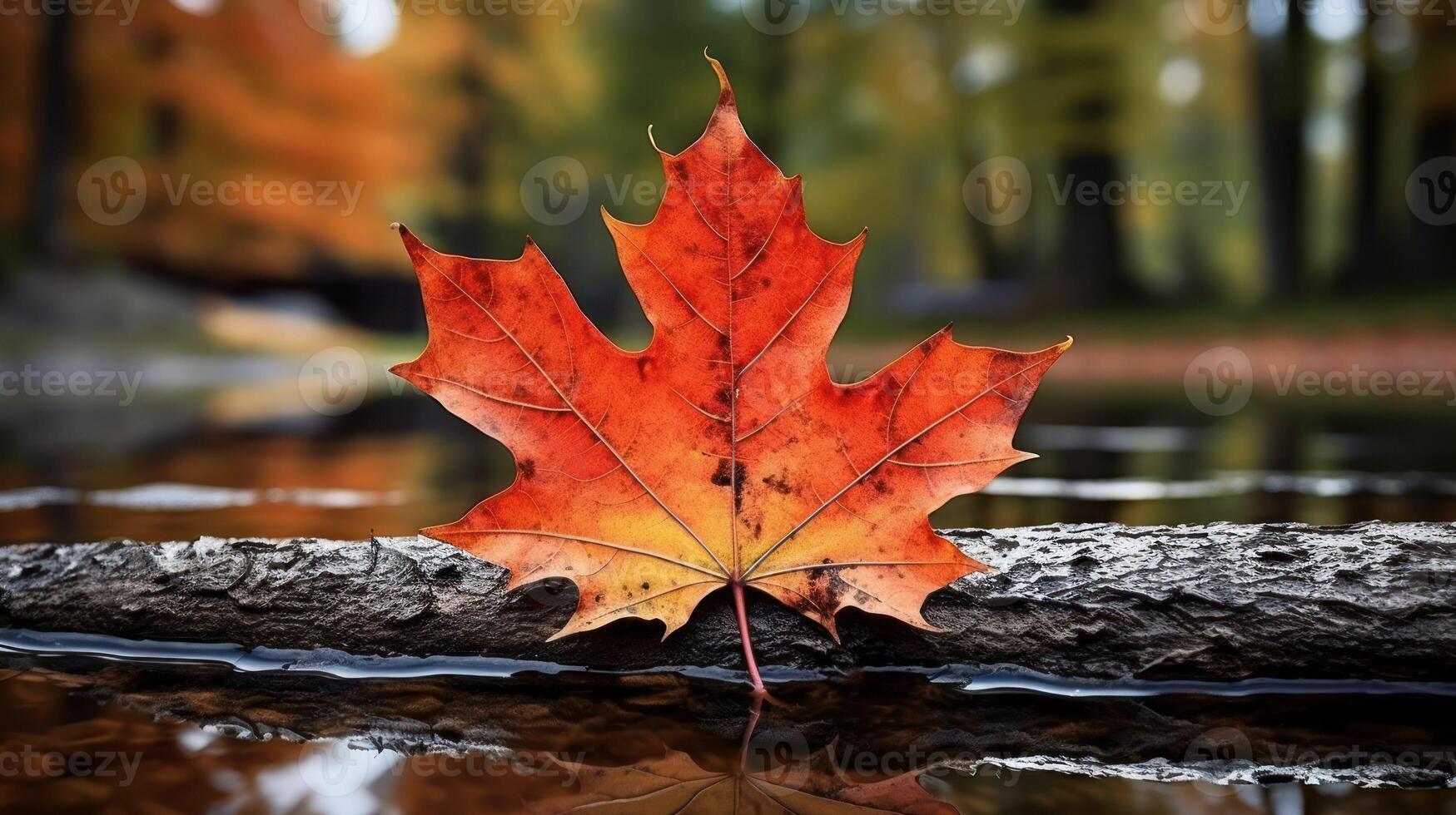 AI generated One vivid autumn colorful maple leaf in red and yellow colors. leaf color dry park close illustration forest autumn, natural season, outdoor garden leaf color dry park close photo