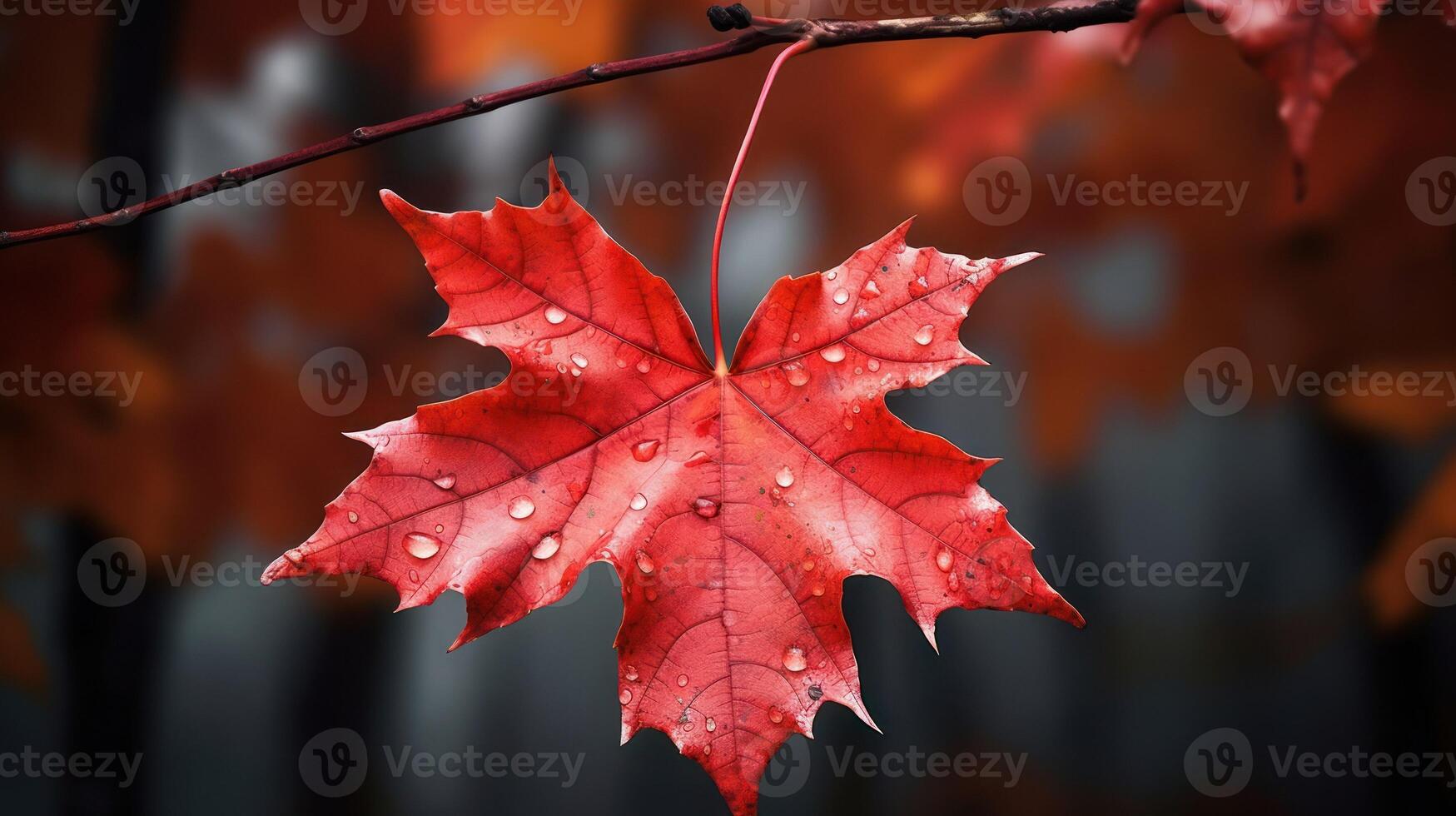 AI generated One vivid autumn colorful maple leaf in red and yellow colors. leaf color dry park close illustration forest autumn, natural season, outdoor garden leaf color dry park close photo