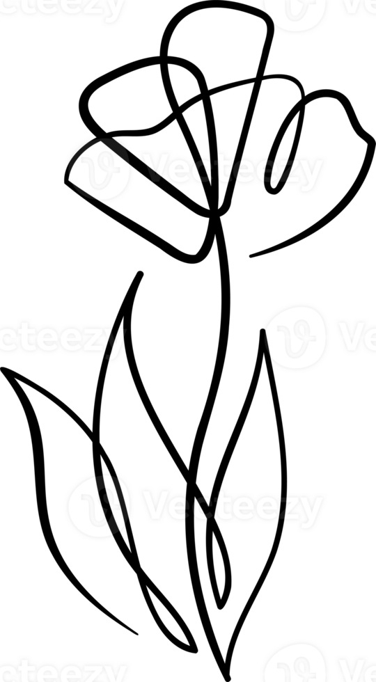contínuo linha desenho. linha arte floral conceito Projeto. flor desenhando com solteiro contínuo linha. flor silhueta contorno desenhando com Preto fino linha transparente fundo. png