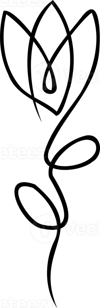 contínuo linha desenho. linha arte floral conceito Projeto. flor desenhando com solteiro contínuo linha. flor silhueta contorno desenhando com Preto fino linha transparente fundo. png