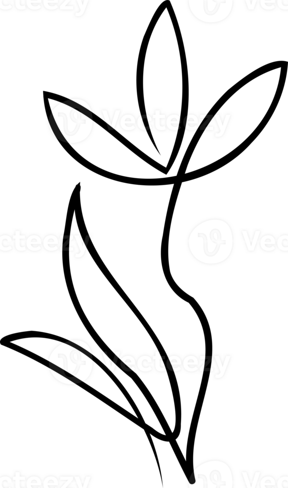 continu ligne dessin. ligne art floral concept conception. fleur dessin avec Célibataire continu doubler. fleur silhouette contour dessin avec noir mince ligne transparent Contexte. png