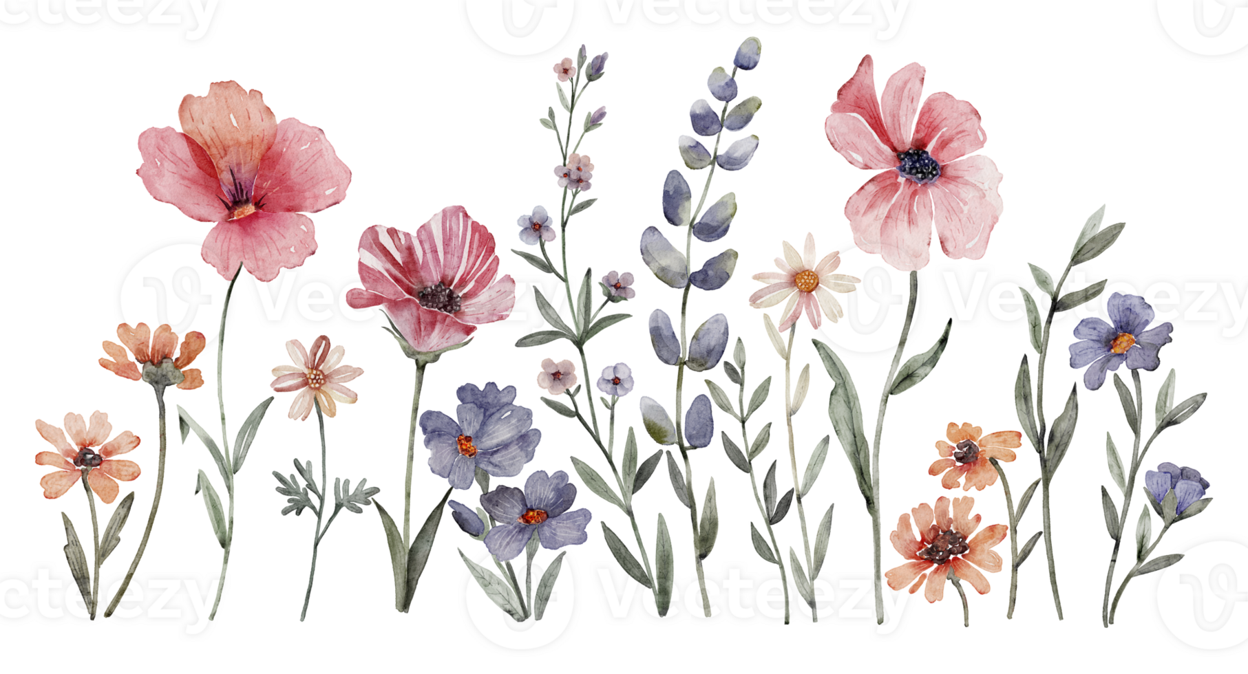 frontière avec délicat multicolore Prairie fleurs, aquarelle illustration. png