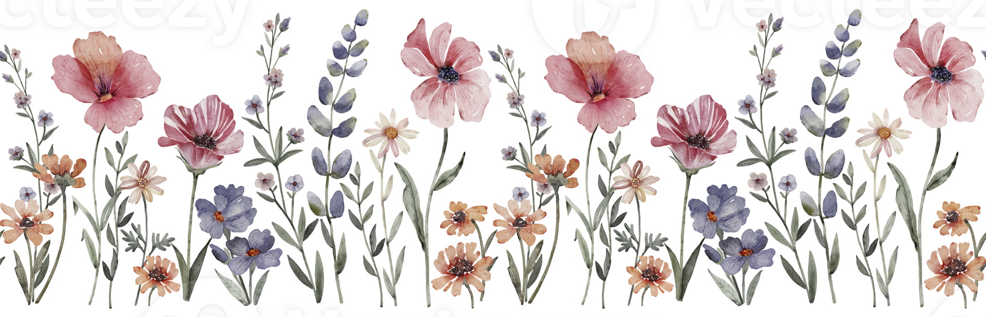 seamless border With delicate multi-colored meadow flowers, watercolor illustration. png